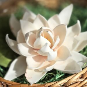 Anyáknapi Taviózsa<br> Workshop<br>Budapest<br>2026.05.03.