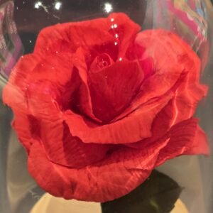 Valentin napi Cukorrózsa<br> Workshop<br>Budapest<br>2026.02.14